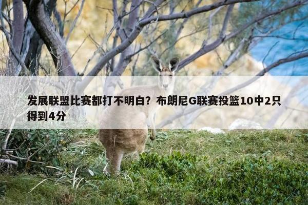 发展联盟比赛都打不明白？布朗尼G联赛投篮10中2只得到4分