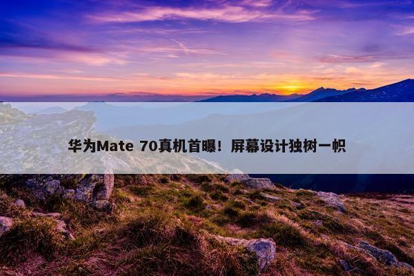 华为Mate 70真机首曝！屏幕设计独树一帜