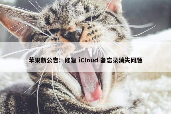 苹果新公告：修复 iCloud 备忘录消失问题