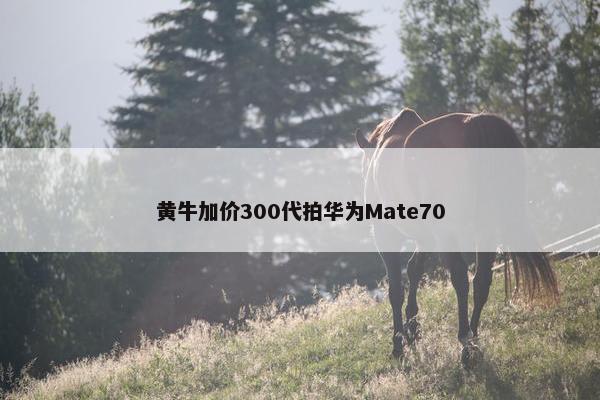 黄牛加价300代拍华为Mate70