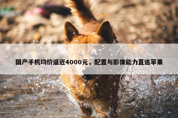 国产手机均价逼近4000元，配置与影像能力直追苹果