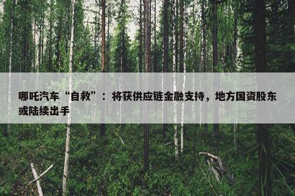 哪吒汽车“自救”：将获供应链金融支持，地方国资股东或陆续出手