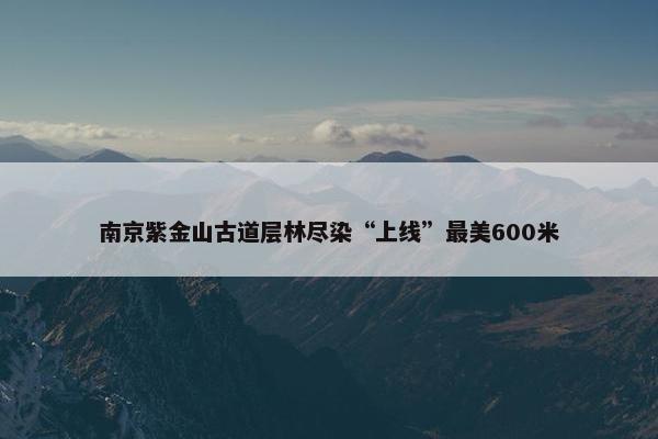 南京紫金山古道层林尽染“上线”最美600米