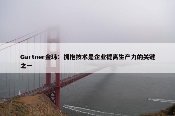 Gartner金玮：拥抱技术是企业提高生产力的关键之一