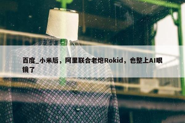 百度_小米后，阿里联合老炮Rokid，也整上AI眼镜了