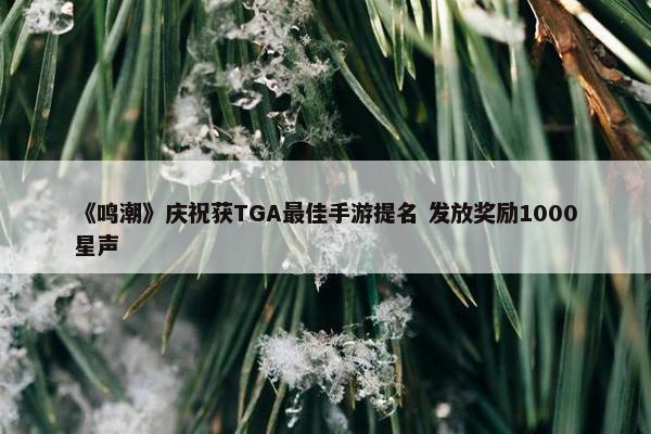 《鸣潮》庆祝获TGA最佳手游提名 发放奖励1000星声