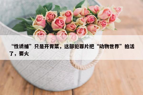 “性诱捕”只是开胃菜，这部犯罪片把“动物世界”拍活了，要火