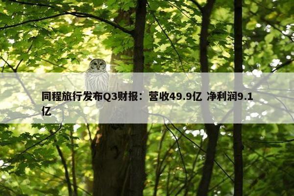 同程旅行发布Q3财报：营收49.9亿 净利润9.1亿