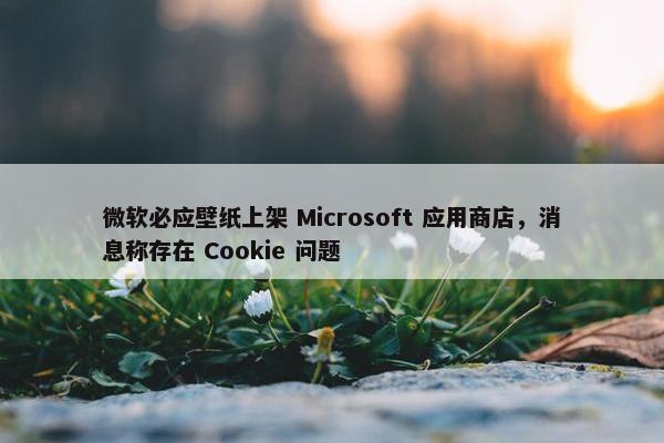 微软必应壁纸上架 Microsoft 应用商店，消息称存在 Cookie 问题