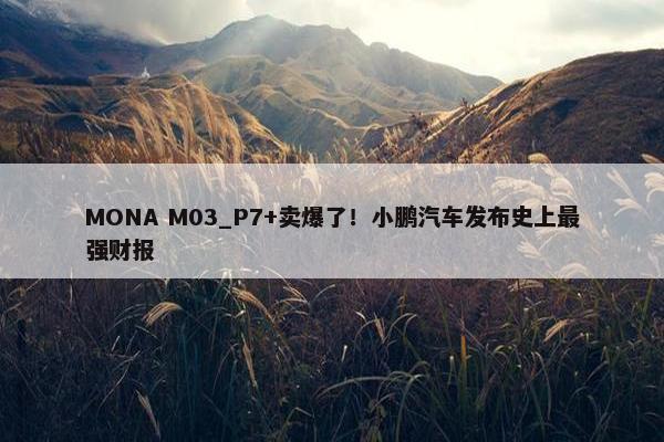 MONA M03_P7+卖爆了！小鹏汽车发布史上最强财报