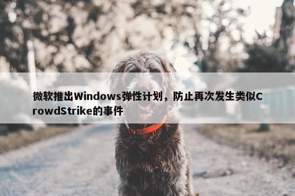 微软推出Windows弹性计划，防止再次发生类似CrowdStrike的事件