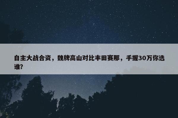 自主大战合资，魏牌高山对比丰田赛那，手握30万你选谁？