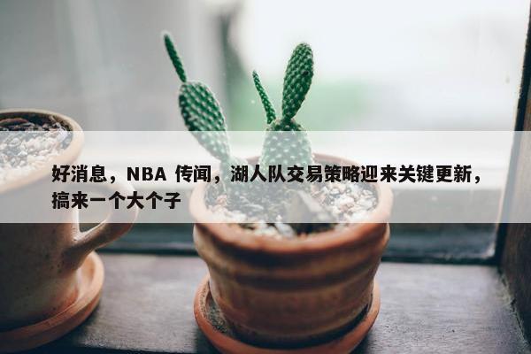 好消息，NBA 传闻，湖人队交易策略迎来关键更新，搞来一个大个子