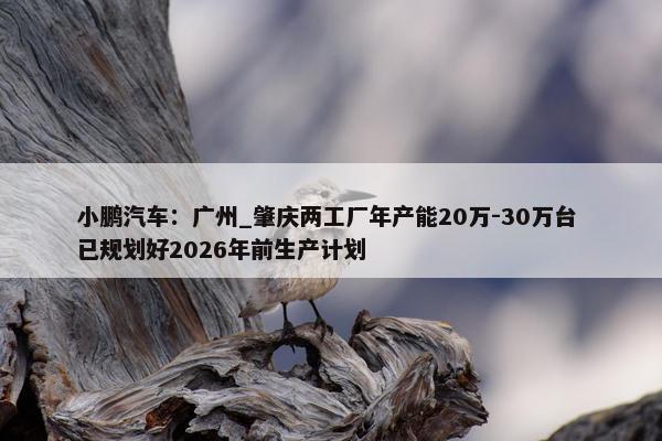 小鹏汽车：广州_肇庆两工厂年产能20万-30万台 已规划好2026年前生产计划