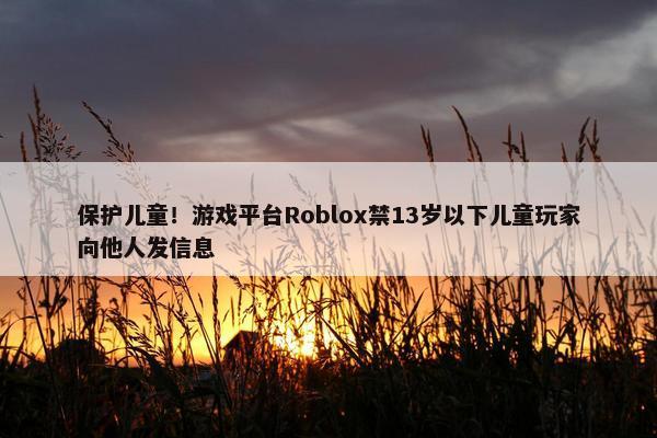 保护儿童！游戏平台Roblox禁13岁以下儿童玩家向他人发信息