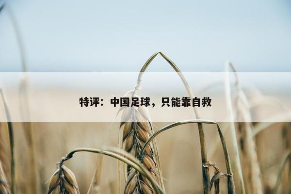 特评：中国足球，只能靠自救