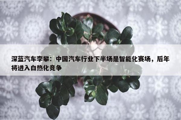 深蓝汽车李攀：中国汽车行业下半场是智能化赛场，后年将进入白热化竞争