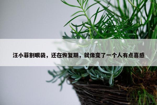 汪小菲割眼袋，还在恢复期，就像变了一个人有点喜感