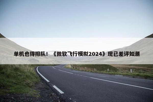 单机也得排队！《微软飞行模拟2024》现已差评如潮