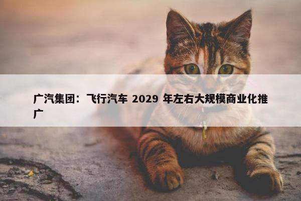 广汽集团：飞行汽车 2029 年左右大规模商业化推广