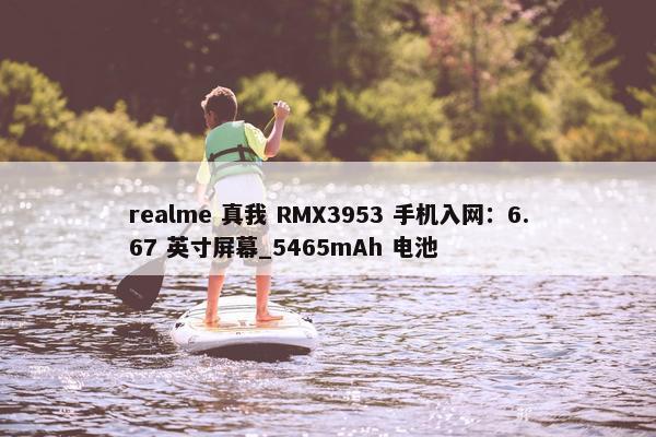 realme 真我 RMX3953 手机入网：6.67 英寸屏幕_5465mAh 电池