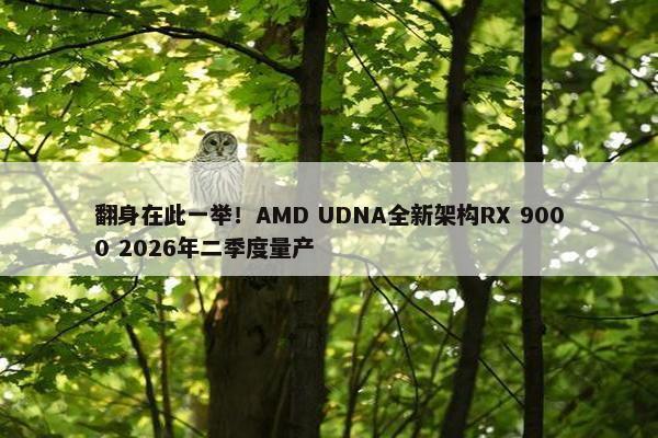 翻身在此一举！AMD UDNA全新架构RX 9000 2026年二季度量产