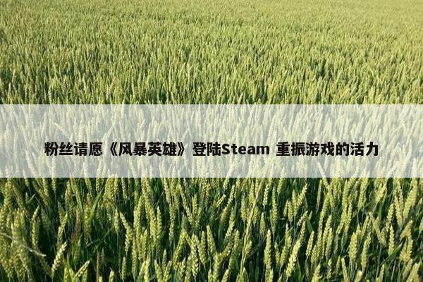 粉丝请愿《风暴英雄》登陆Steam 重振游戏的活力