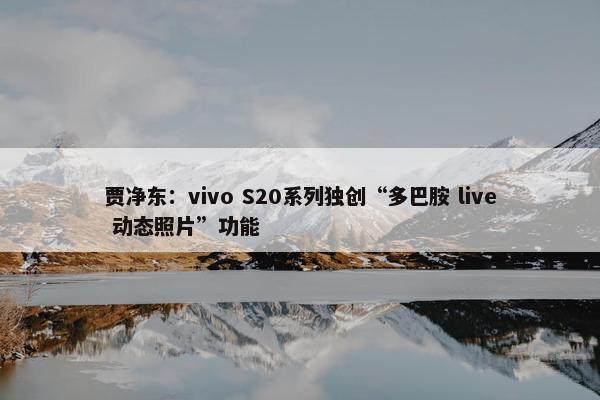 贾净东：vivo S20系列独创“多巴胺 live 动态照片”功能