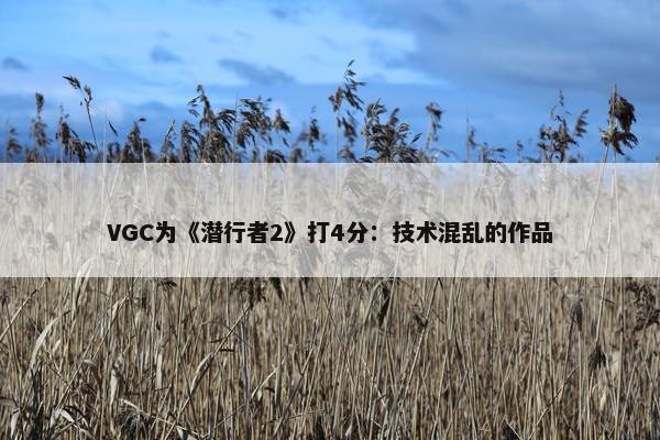 VGC为《潜行者2》打4分：技术混乱的作品