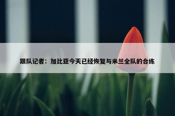 跟队记者：加比亚今天已经恢复与米兰全队的合练