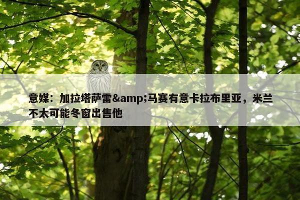 意媒：加拉塔萨雷&马赛有意卡拉布里亚，米兰不太可能冬窗出售他