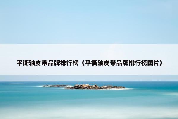 平衡轴皮带品牌排行榜（平衡轴皮带品牌排行榜图片）