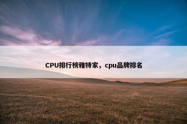 CPU排行榜雅特家，cpu品牌排名