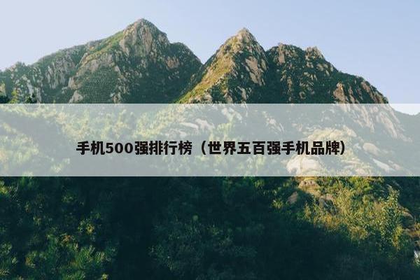 手机500强排行榜（世界五百强手机品牌）