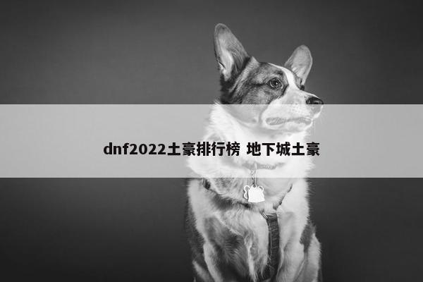 dnf2022土豪排行榜 地下城土豪