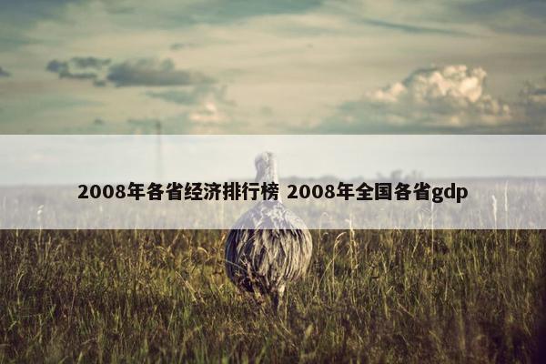 2008年各省经济排行榜 2008年全国各省gdp