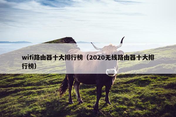 wifi路由器十大排行榜（2020无线路由器十大排行榜）