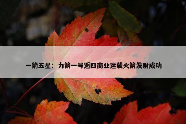 一箭五星：力箭一号遥四商业运载火箭发射成功