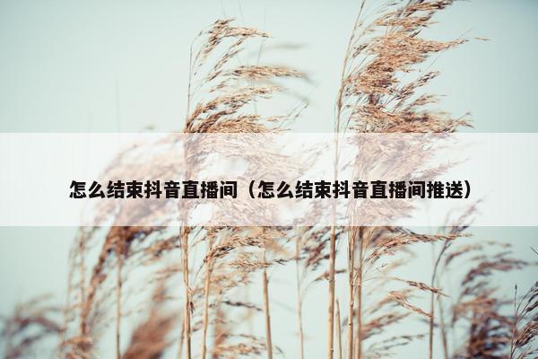 怎么结束抖音直播间（怎么结束抖音直播间推送）