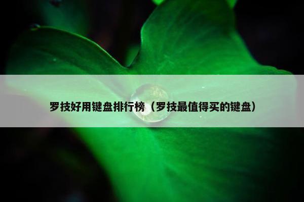 罗技好用键盘排行榜（罗技最值得买的键盘）