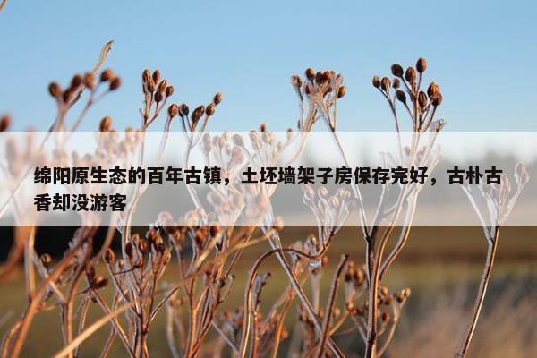 绵阳原生态的百年古镇，土坯墙架子房保存完好，古朴古香却没游客