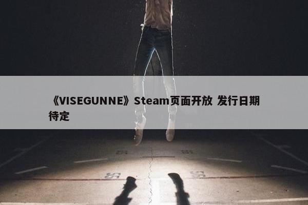 《VISEGUNNE》Steam页面开放 发行日期待定