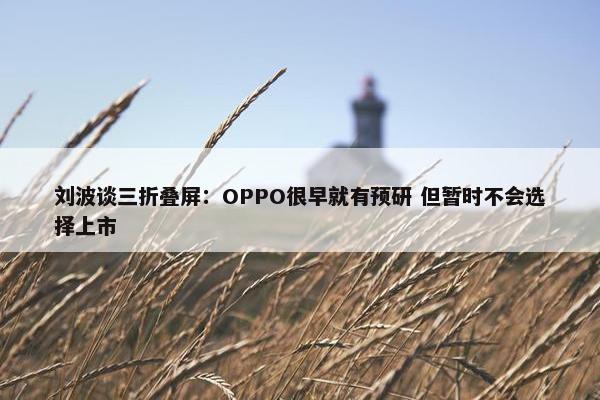 刘波谈三折叠屏：OPPO很早就有预研 但暂时不会选择上市