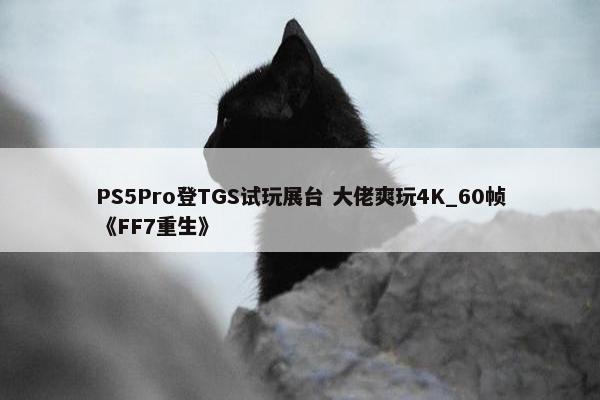 PS5Pro登TGS试玩展台 大佬爽玩4K_60帧《FF7重生》