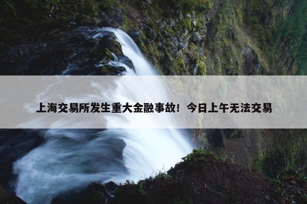 上海交易所发生重大金融事故！今日上午无法交易