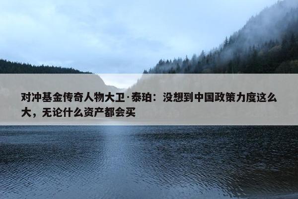 对冲基金传奇人物大卫·泰珀：没想到中国政策力度这么大，无论什么资产都会买