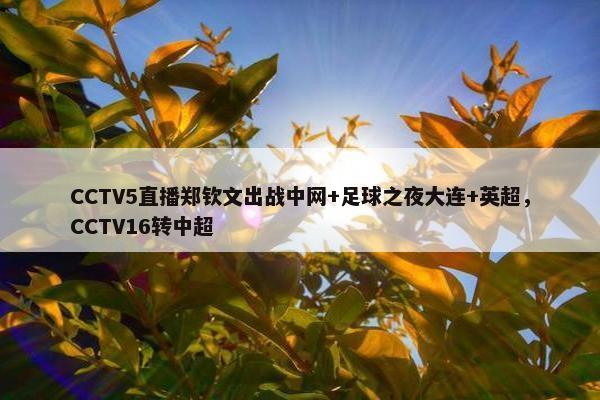 CCTV5直播郑钦文出战中网+足球之夜大连+英超，CCTV16转中超