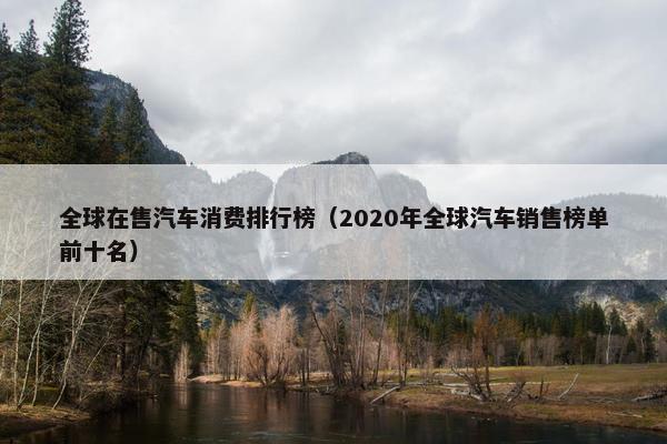 全球在售汽车消费排行榜（2020年全球汽车销售榜单前十名）