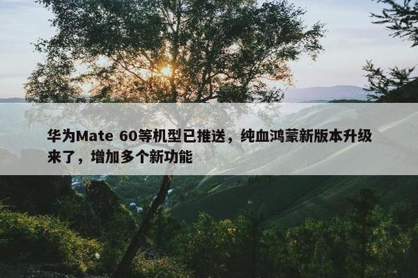 华为Mate 60等机型已推送，纯血鸿蒙新版本升级来了，增加多个新功能