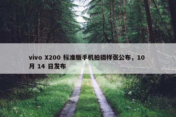 vivo X200 标准版手机拍摄样张公布，10 月 14 日发布